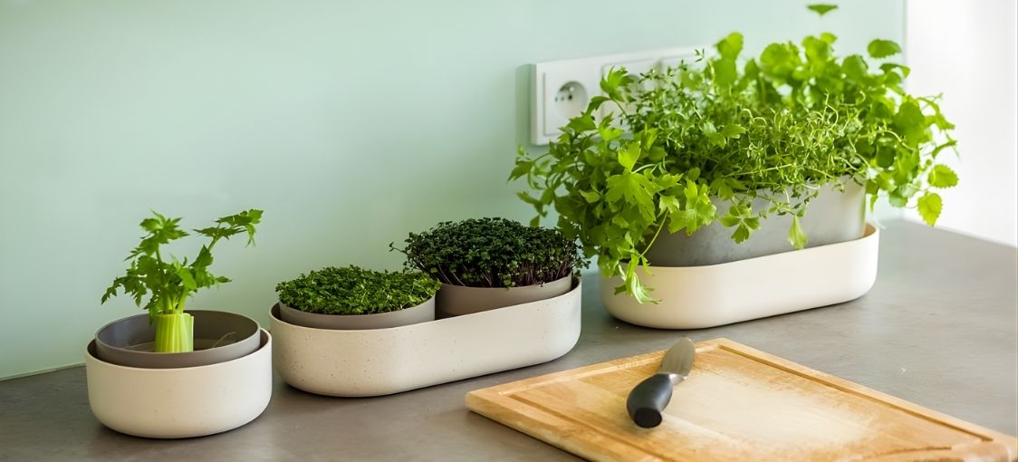 Co jsou to microgreens